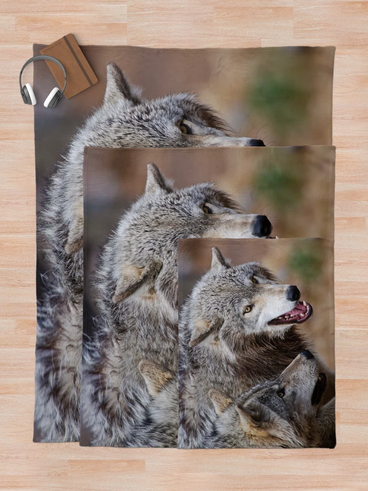 Thumbnail 5 of 6, Throw Blanket, Timber Wolves designed and sold by WolvesOnly.