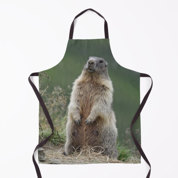 Item preview, Marmota marmota designed and sold by Mythos57.