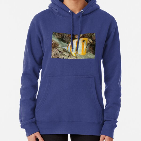 Beaked Coralfish, Kapalai, Sabah, Malaysia Pullover Hoodie