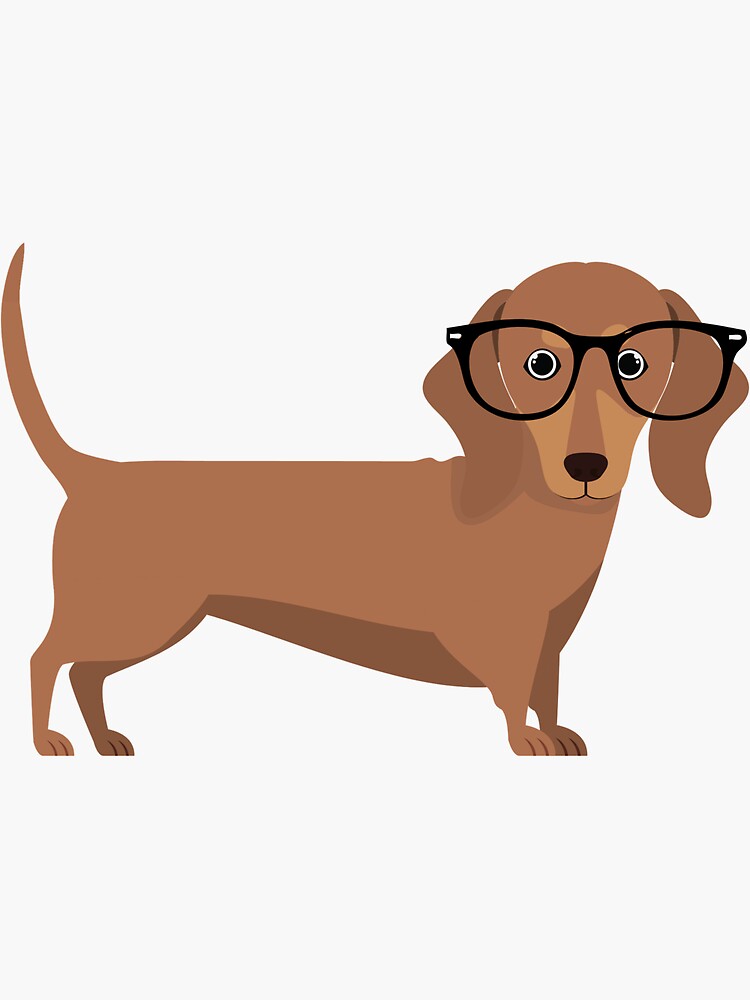 Hudson The Mini Dachshund by Ashstone23