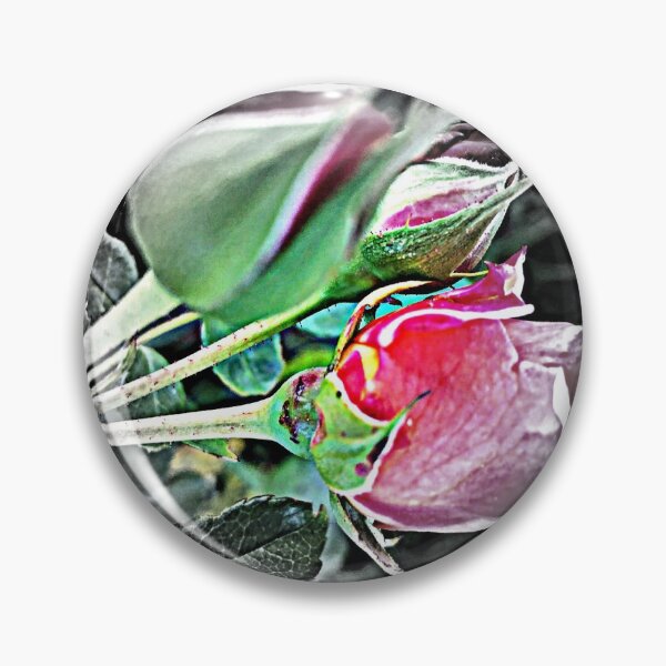 Artikelvorschau, ANTIKE VINTAGE ROSE entworfen und verkauft von Opalbluerose.