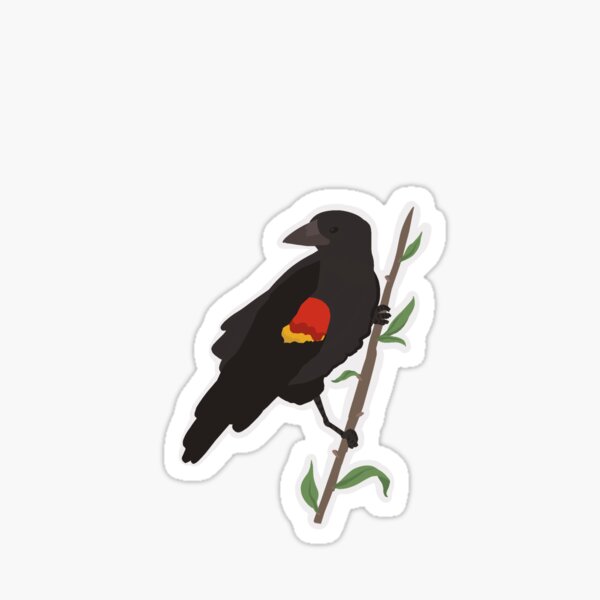 Item preview, Red-winged Blackbird  designed and sold by Rockie8397.