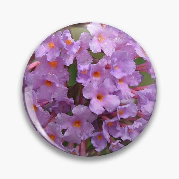 Item preview, blooms designed and sold by dnparker.