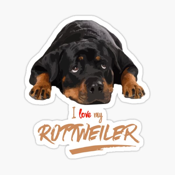 I Just Love My Rottweiler! Especially for Rottweiler Dog Lovers! Sticker