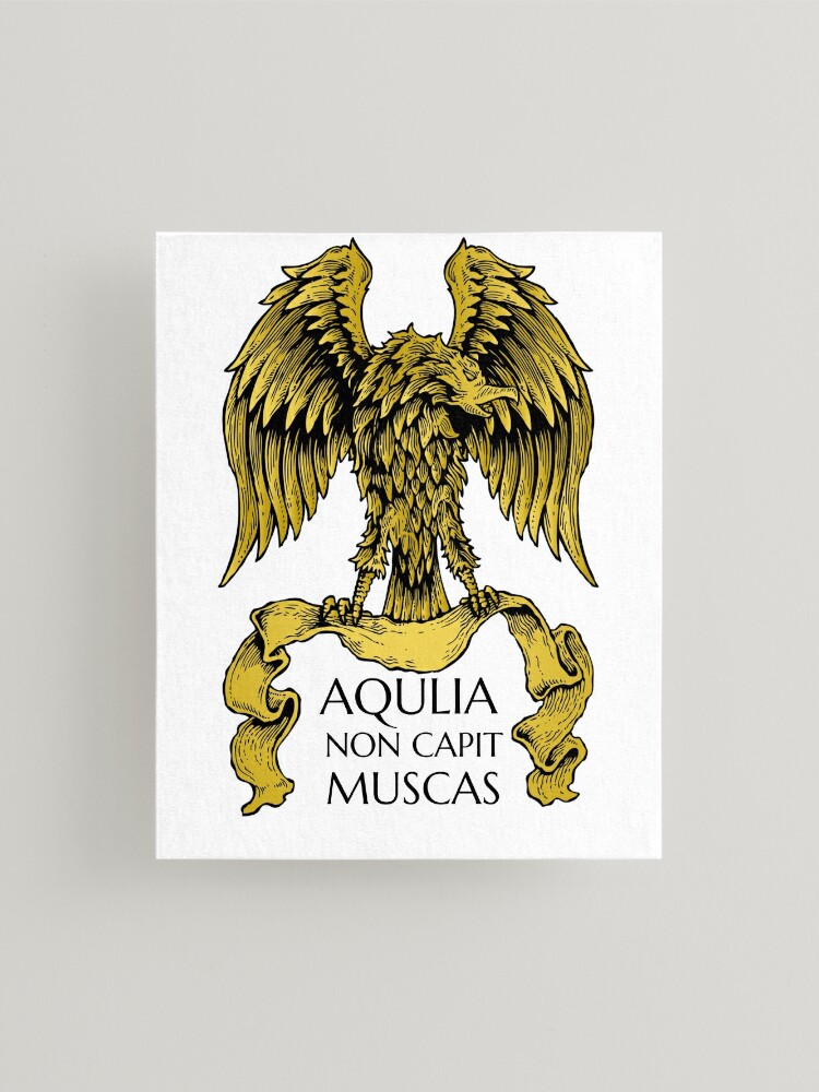 Aquila Non Capit Muscas