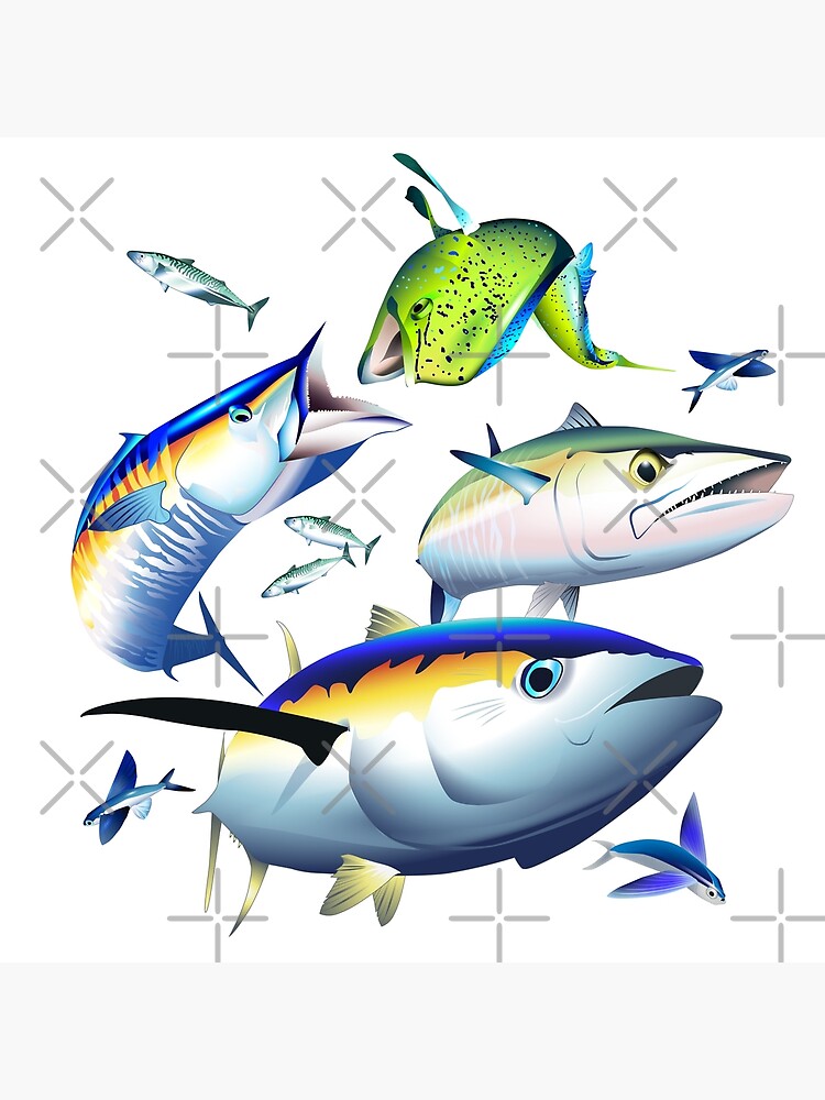 Dolphin / Mahi Mahi, Wahoo, King Mackerel and Tuna Art Print for Sale by  Mary Tracy