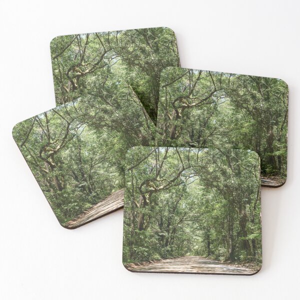 Item preview, Road To Angel Oak designed and sold by mljdwhite.