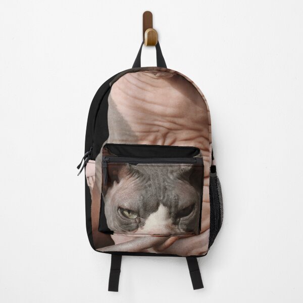 Item preview, Giant hairless cat designed and sold by nekodokai1.
