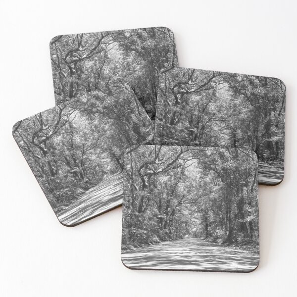 Item preview, Road To Angel Oak Grayscale designed and sold by mljdwhite.