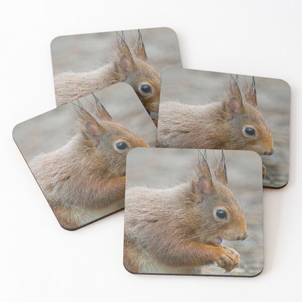 Item preview, Red squirrel, Formby, England designed and sold by Beverley Goodwin.