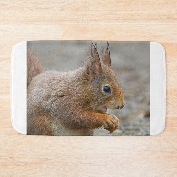 Item preview, Red squirrel, Formby, England designed and sold by Beverley Goodwin.