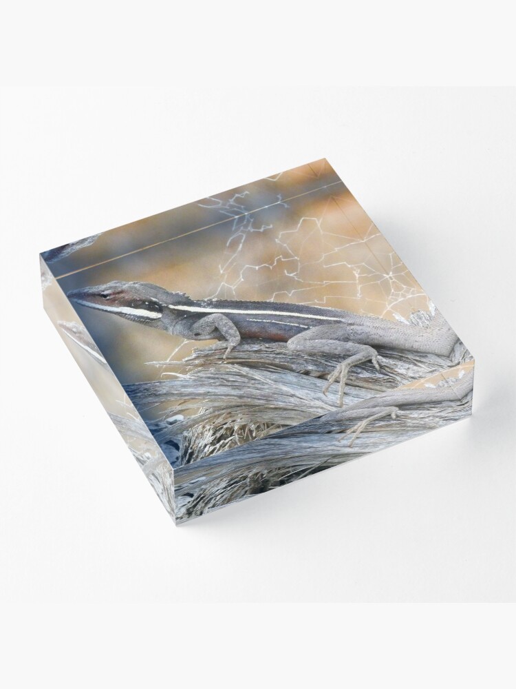 Alternate view of Gilbert's Dragon On a Log Acrylic Block