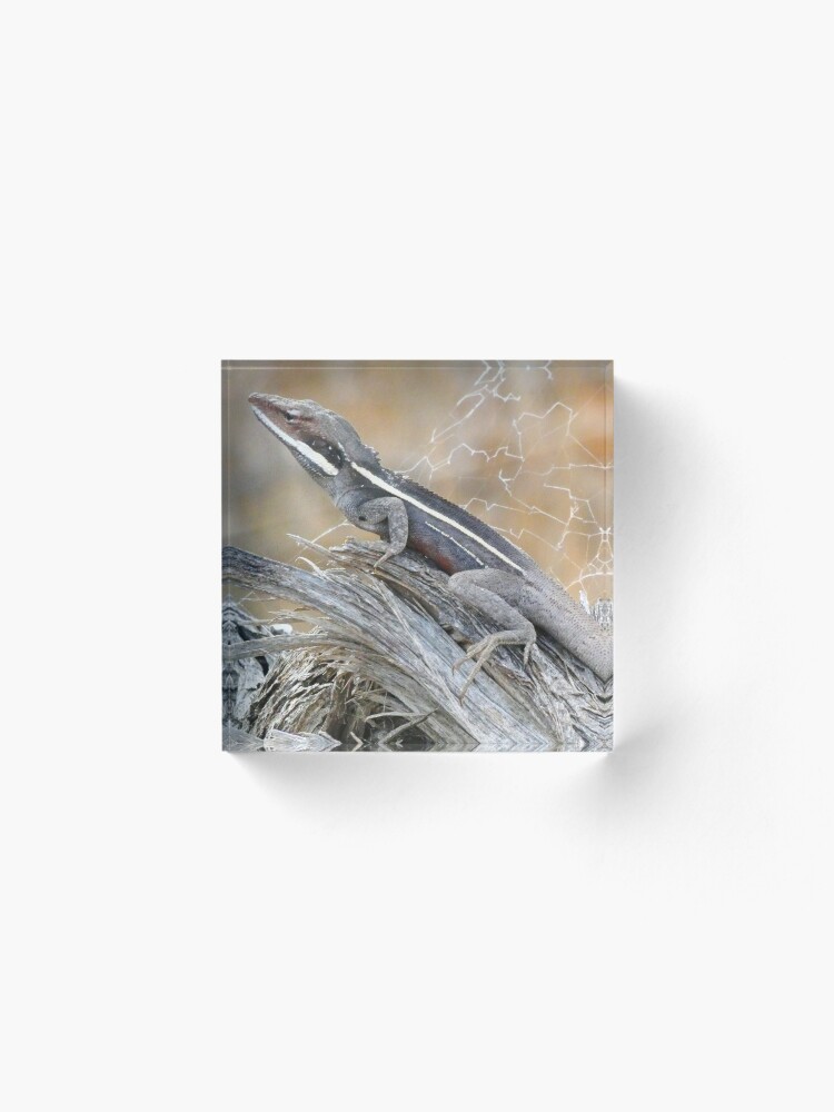 Alternate view of Gilbert's Dragon On a Log Acrylic Block