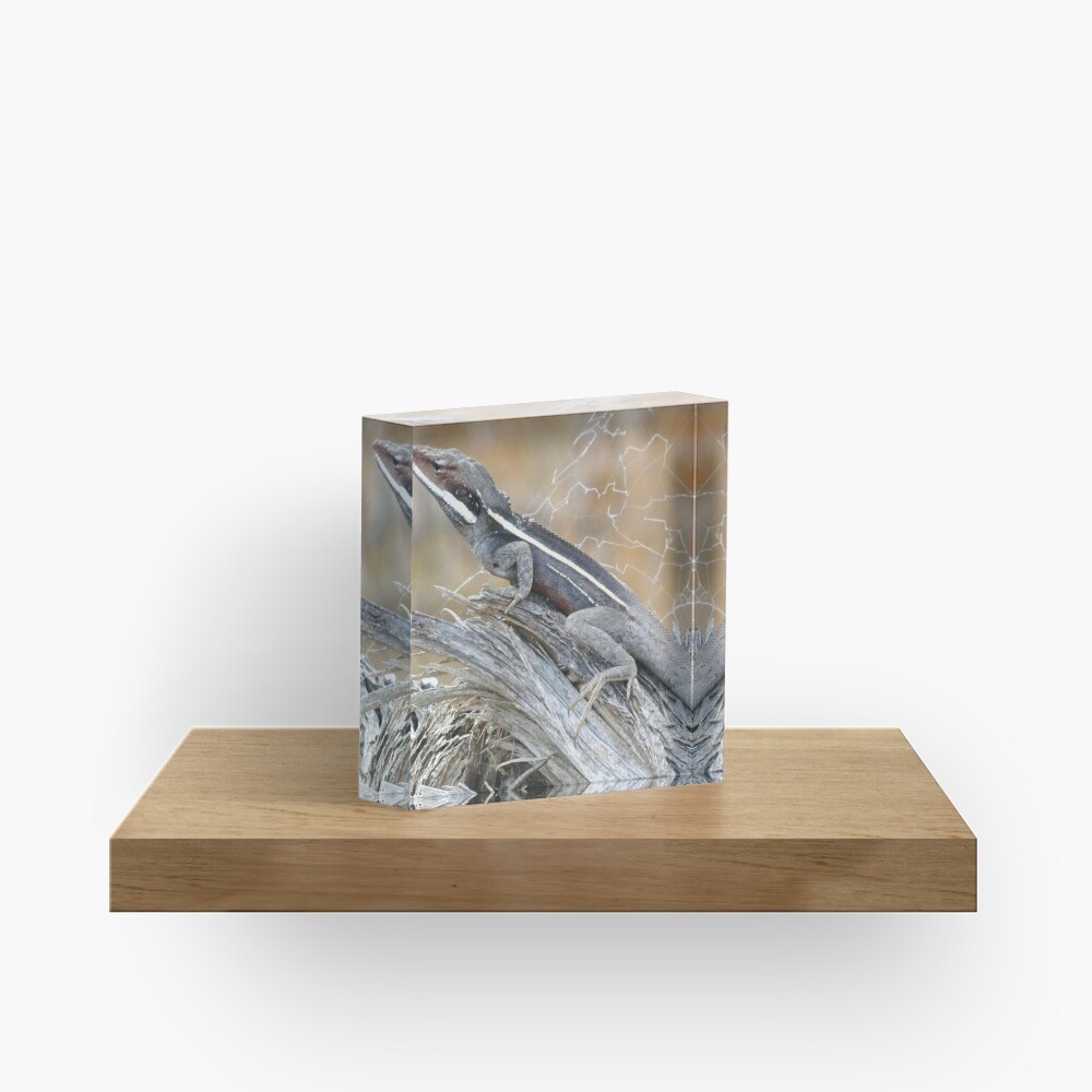 Gilbert's Dragon On a Log Acrylic Block