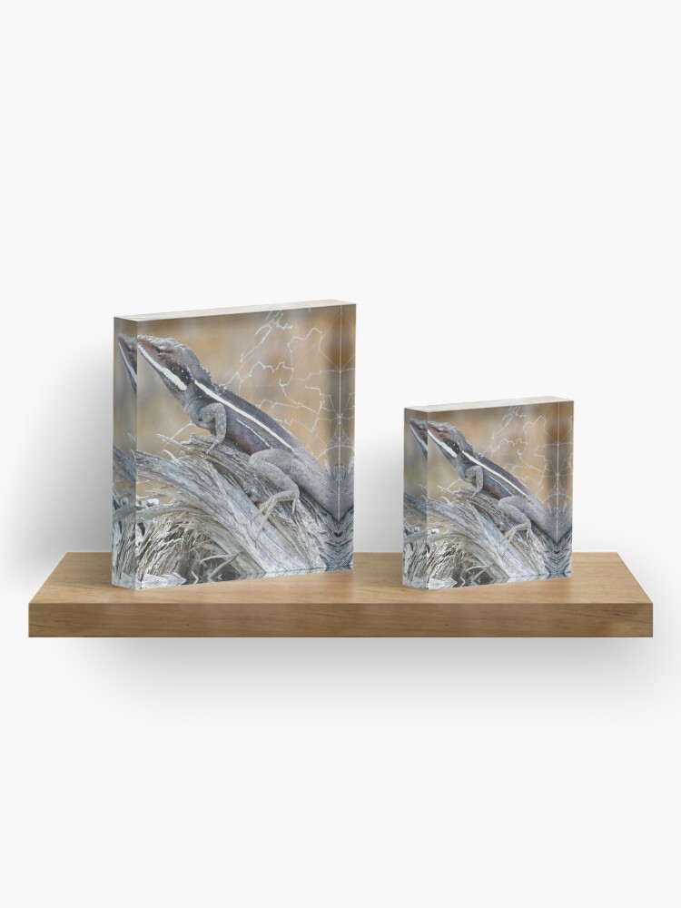 Alternate view of Gilbert's Dragon On a Log Acrylic Block