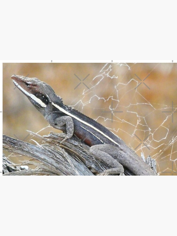 Gilbert's Dragon On a Log by snibbo71