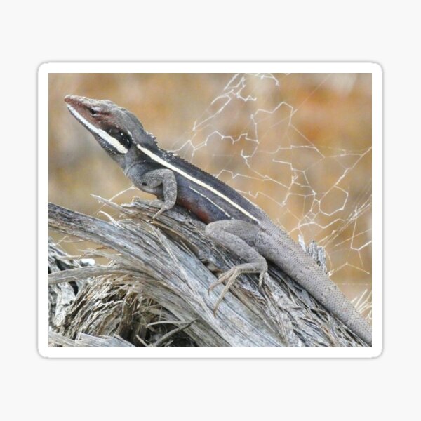 Gilbert's Dragon On a Log Sticker