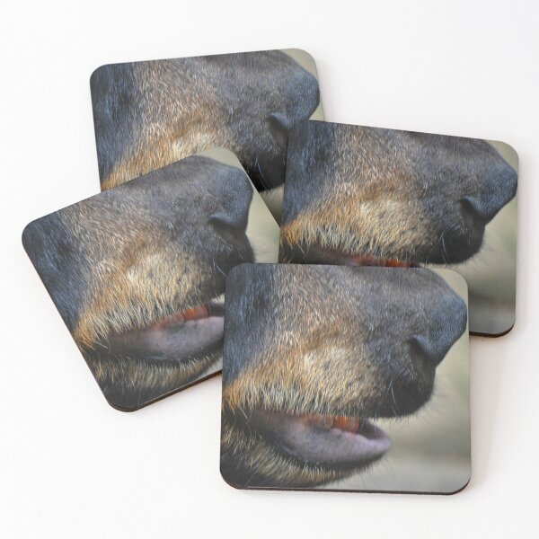 Item preview, Bear Mouth designed and sold by Michelle DuBose.