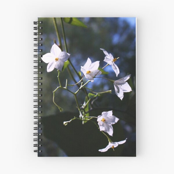 Artikelvorschau, Jasmin Nachtschatten Blumen entworfen und verkauft von SpitsPixels.