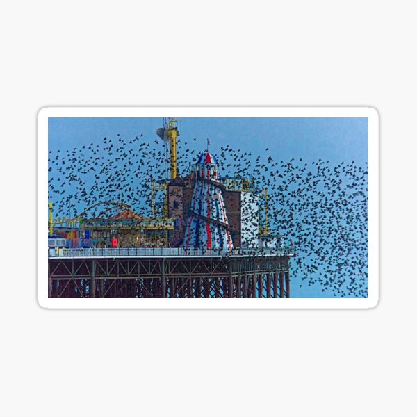 Starling murmuration, Helter Skelter, Brighton, England Sticker
