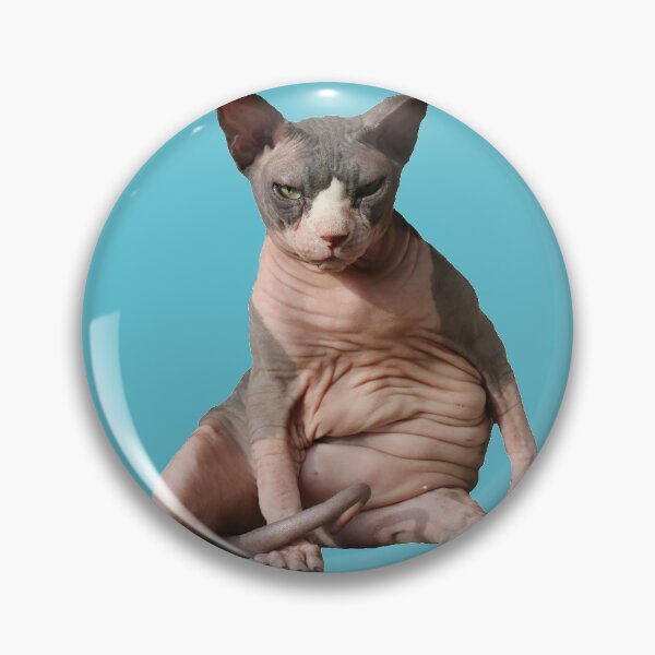 Item preview, Giant hairless cat: Teal designed and sold by nekodokai1.