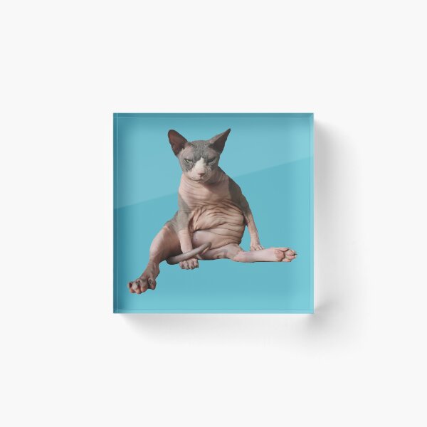 Item preview, Giant hairless cat: Teal designed and sold by nekodokai1.