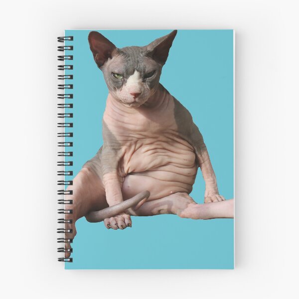 Item preview, Giant hairless cat: Teal designed and sold by nekodokai1.
