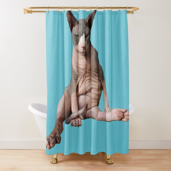 Item preview, Giant hairless cat: Teal designed and sold by nekodokai1.