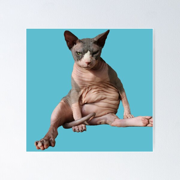 Item preview, Giant hairless cat: Teal designed and sold by nekodokai1.
