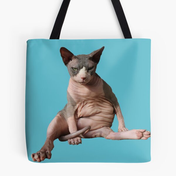 Item preview, Giant hairless cat: Teal designed and sold by nekodokai1.