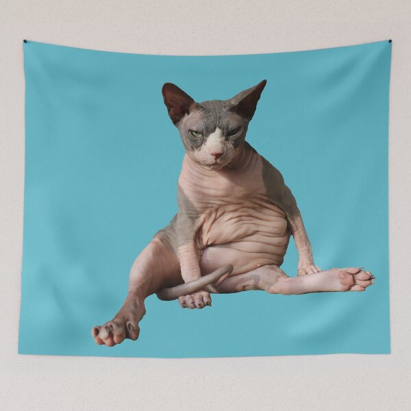 Item preview, Giant hairless cat: Teal designed and sold by nekodokai1.