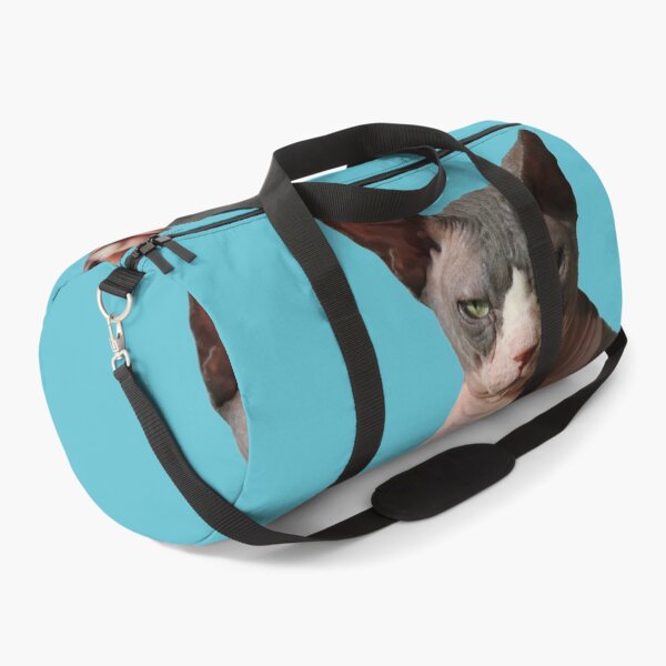 Item preview, Giant hairless cat: Teal designed and sold by nekodokai1.
