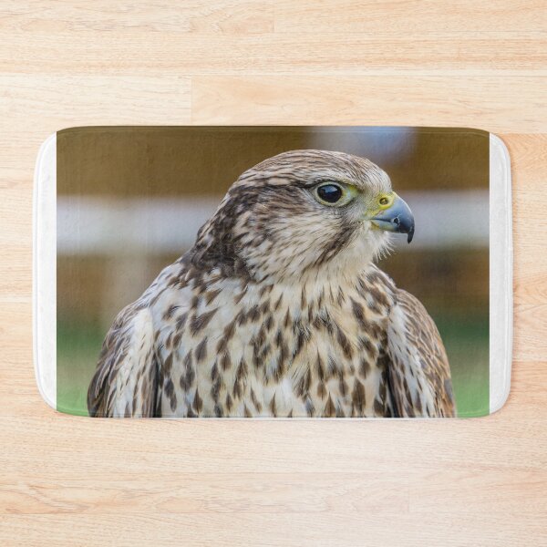 Item preview, Bird of prey - Kestrel designed and sold by Beverley Goodwin.