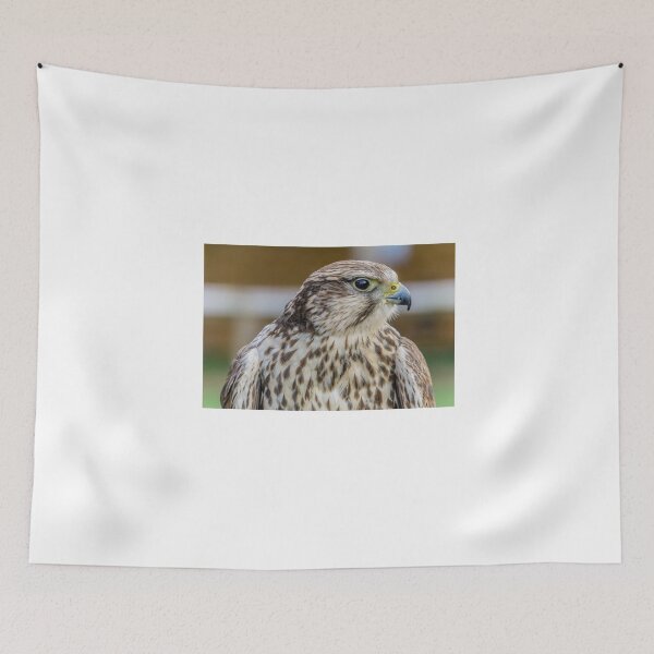 Item preview, Bird of prey - Kestrel designed and sold by Beverley Goodwin.