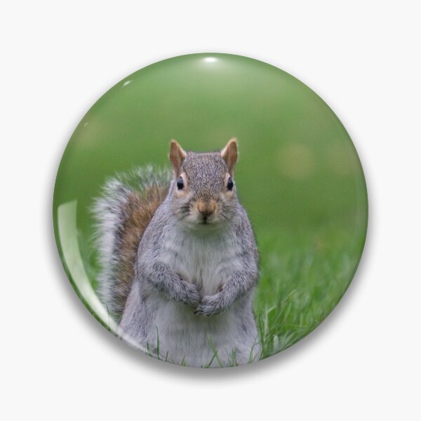 Item preview, Cheeky grey squirrel, Hyde Park, London designed and sold by Beverley Goodwin.