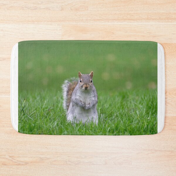 Item preview, Cheeky grey squirrel, Hyde Park, London designed and sold by Beverley Goodwin.