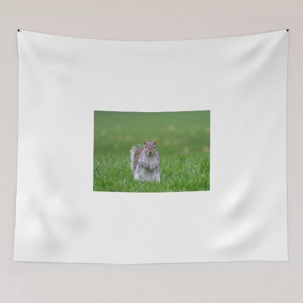 Item preview, Cheeky grey squirrel, Hyde Park, London designed and sold by Beverley Goodwin.