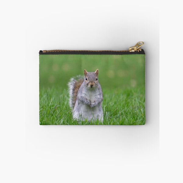 Item preview, Cheeky grey squirrel, Hyde Park, London designed and sold by Beverley Goodwin.