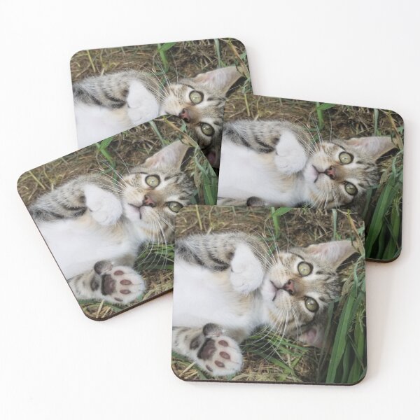 Item preview, Kitten, Cute Barn Kitty Finn designed and sold by f2error.