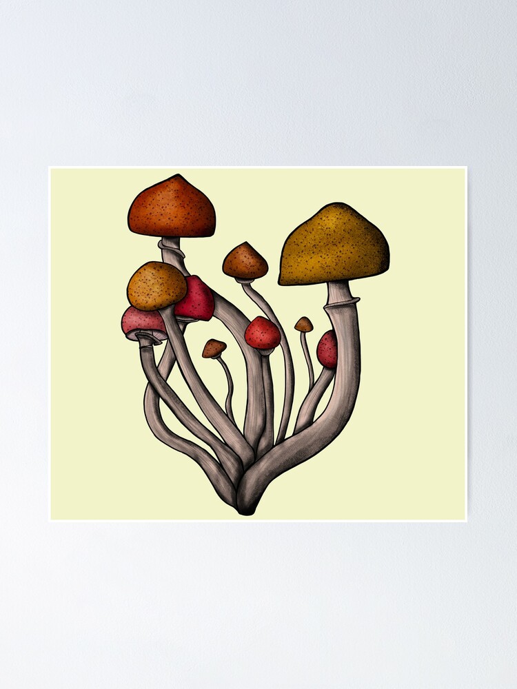 Download Mushroom Bundle Ink Drawing Poster By Irottori Redbubble