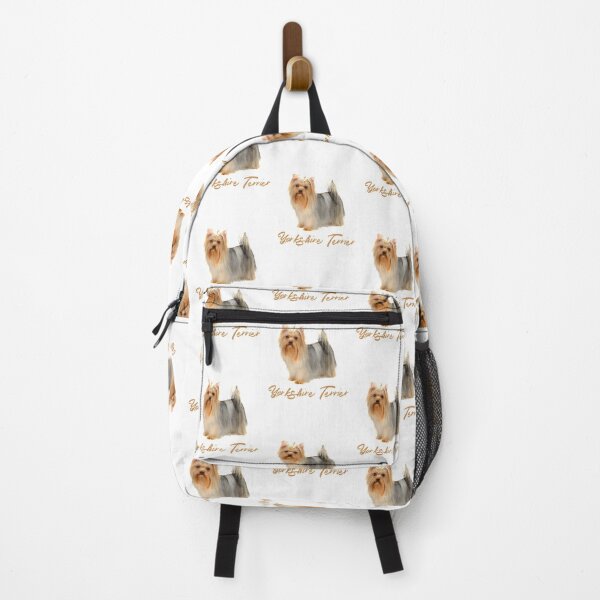 "Beautiful Yorkshire Terrier! Especially for Yorkie Dog Lovers