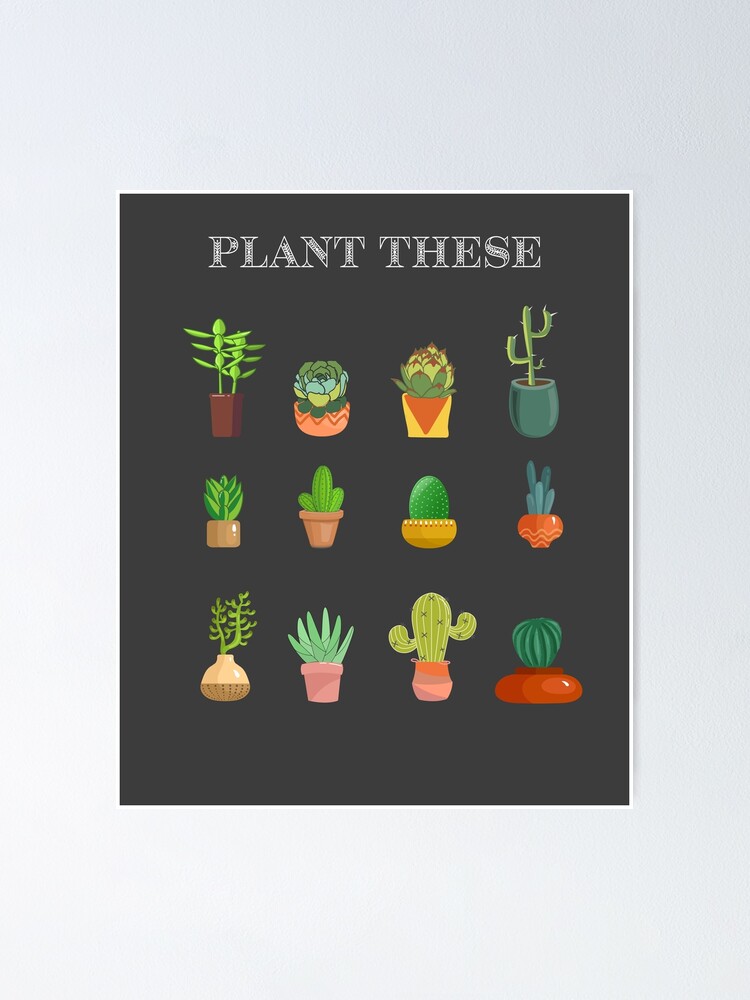 "Plant These Succulents" Poster by Monskyart Redbubble