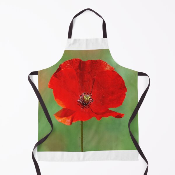 Item preview, Red poppy, Somme, France designed and sold by Beverley Goodwin.