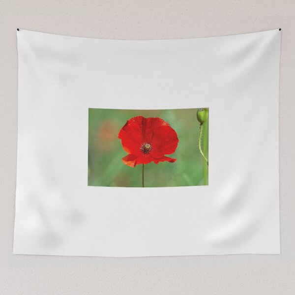 Item preview, Red poppy, Somme, France designed and sold by Beverley Goodwin.