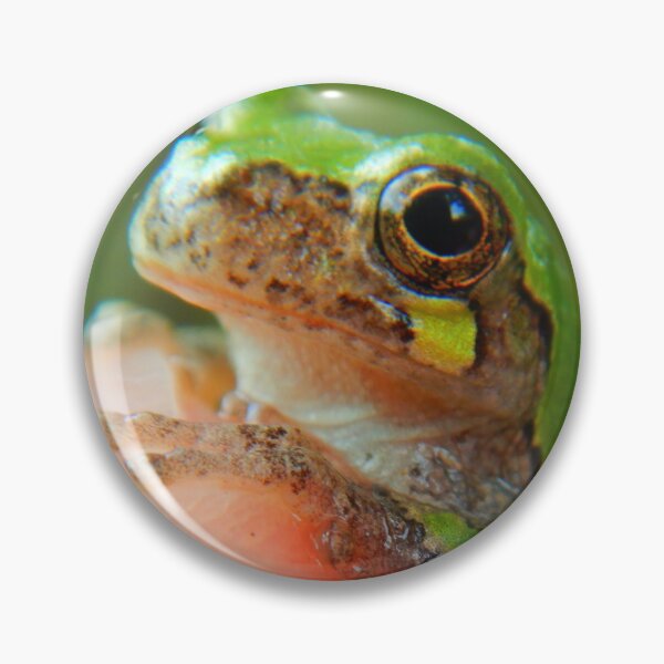 Item preview, Tiny Grey Tree Frog on Fingertip designed and sold by Lem1-XTreem.