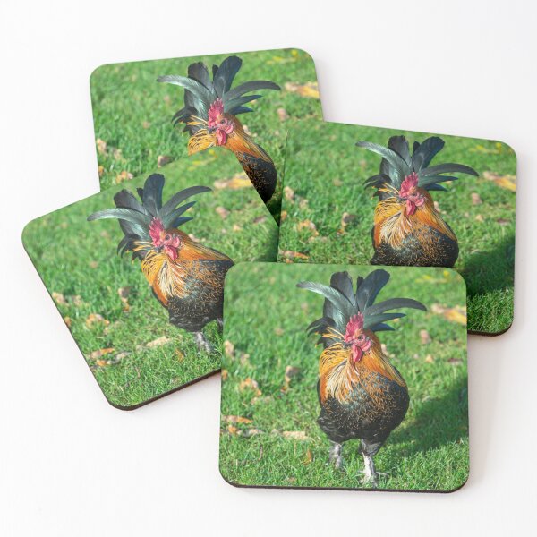 Item preview, Chicken on the Grass  designed and sold by hawkie.