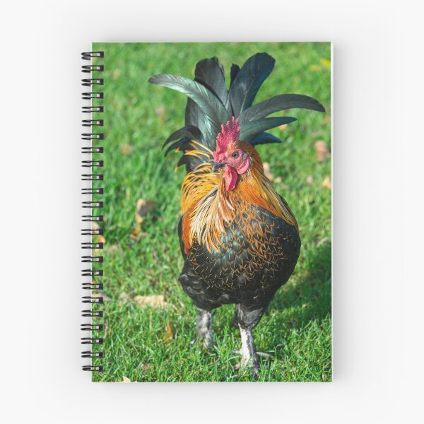 Item preview, Chicken on the Grass  designed and sold by hawkie.