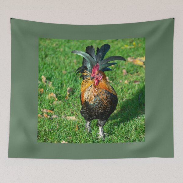 Item preview, Chicken on the Grass  designed and sold by hawkie.