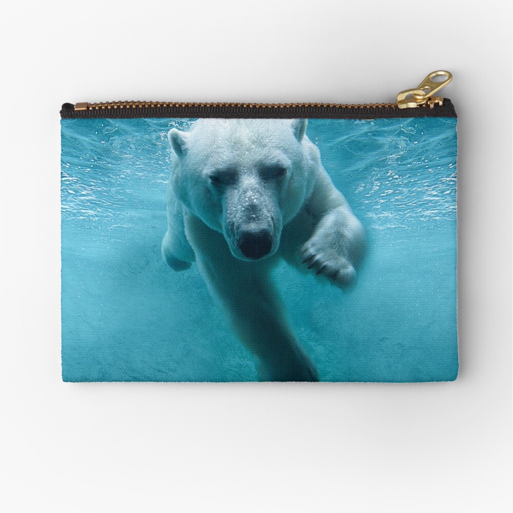 Polar Bear Coin Purse In Blue