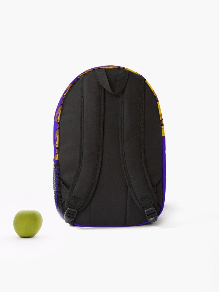 Disover LeBron James Backpack, basketball backpacks for school